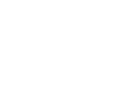 Rhino Property Improvements